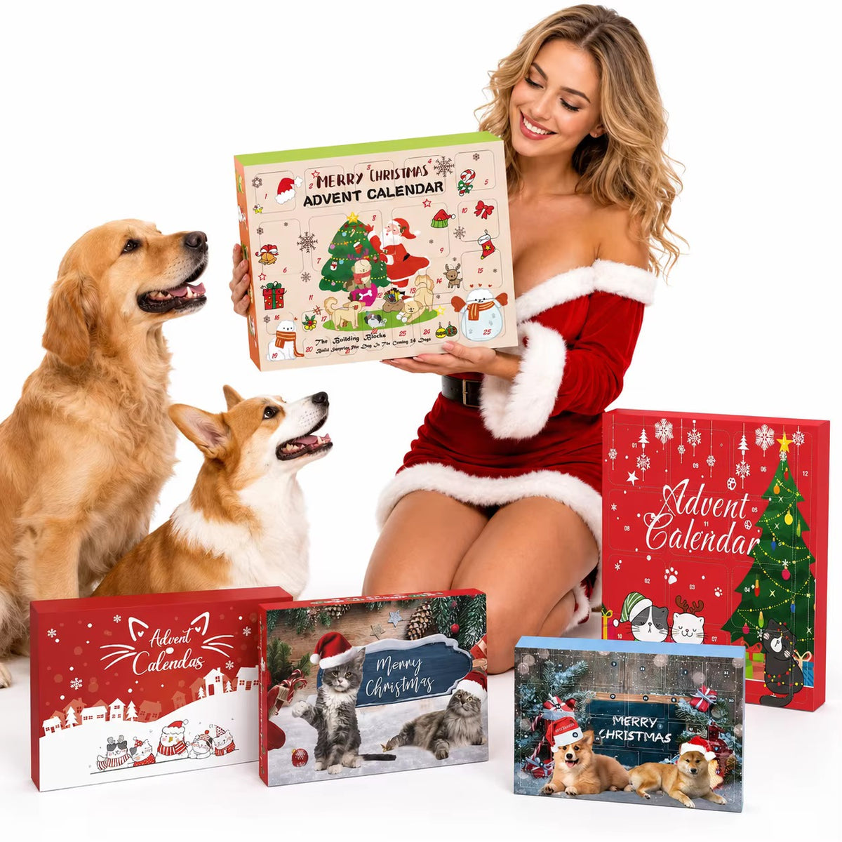 Premium Katzen-Adventskalender