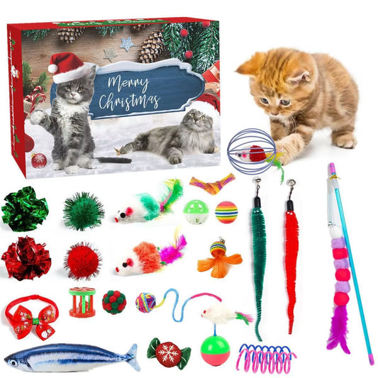 Premium Katzen-Adventskalender