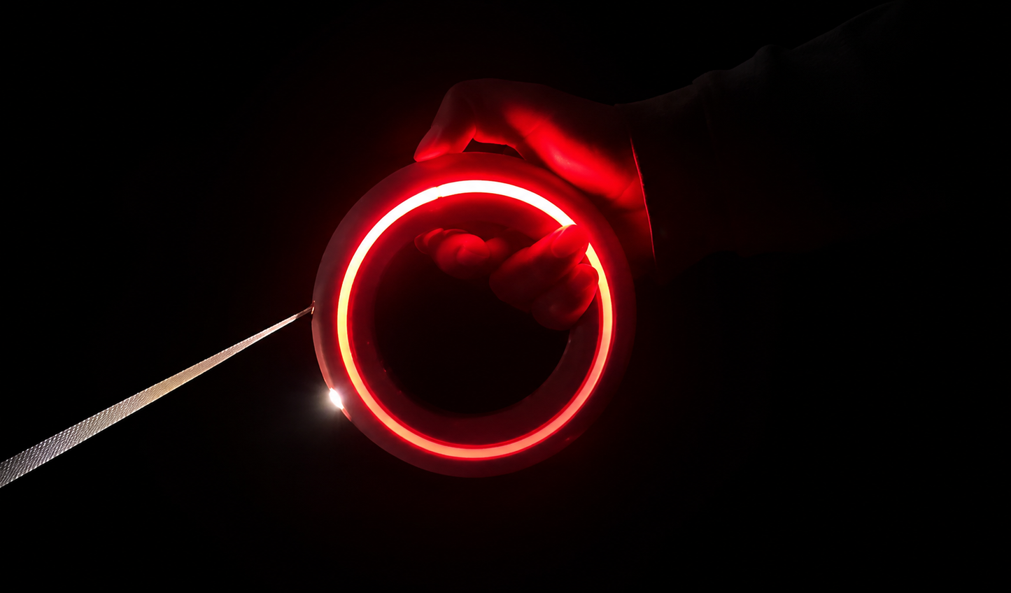 Automatische Ring-Hundeleine mit LED-Licht & Freihand-Funktion