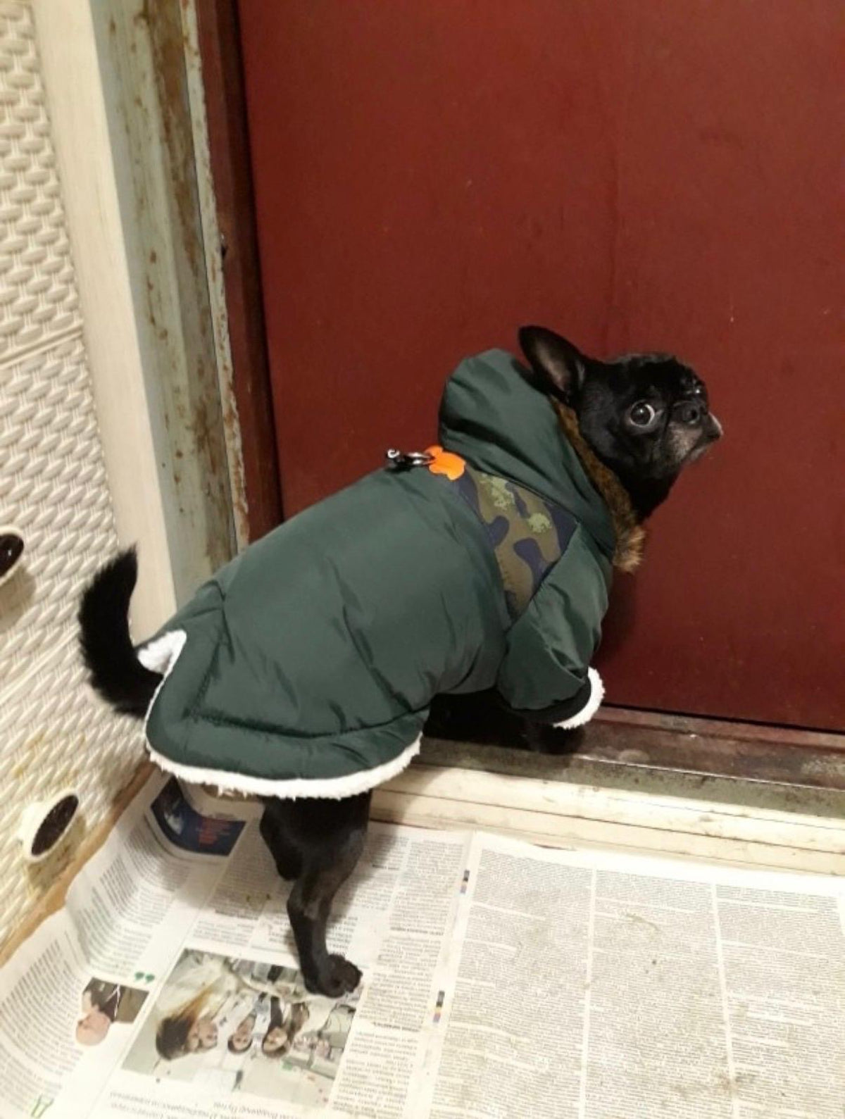 Warme Winterjacke Hunde