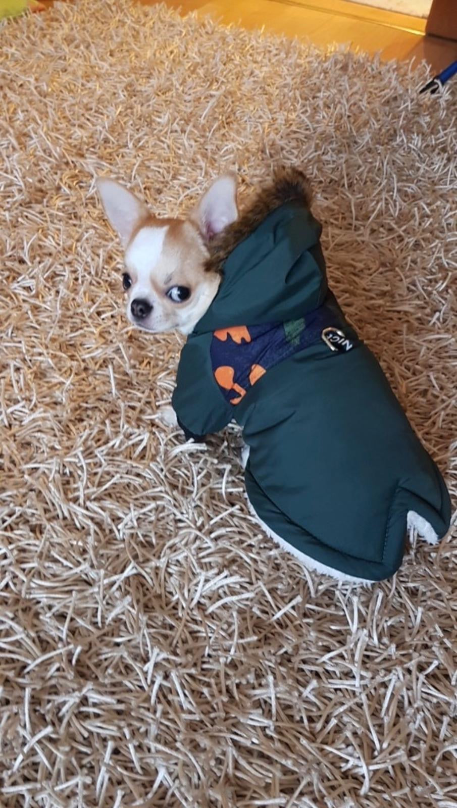 Warme Winterjacke Hunde