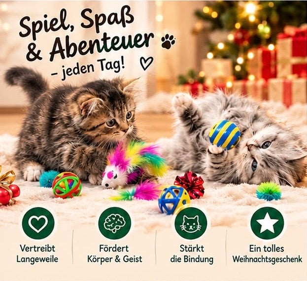 Premium Katzen-Adventskalender