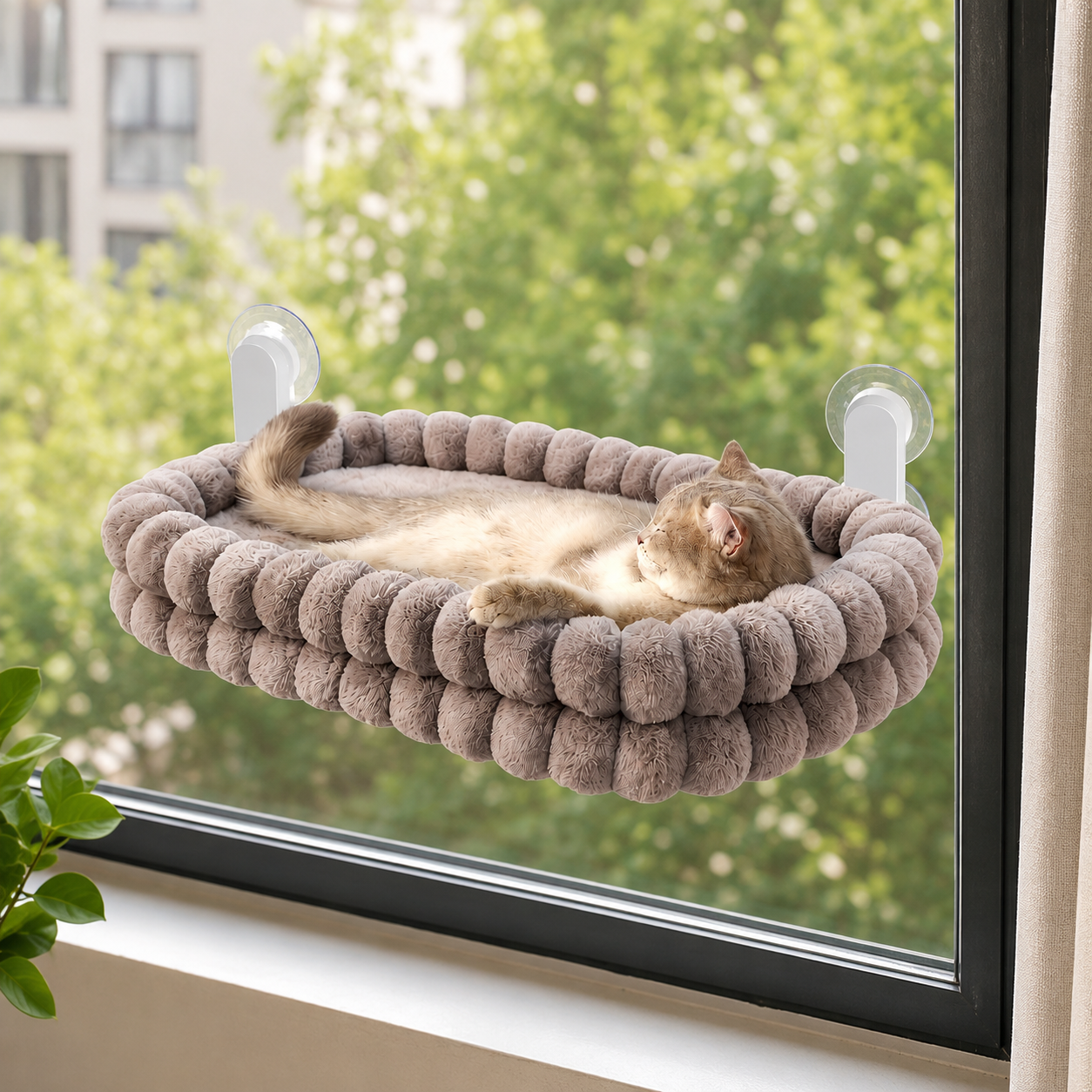 Katzen-Fensterliege
