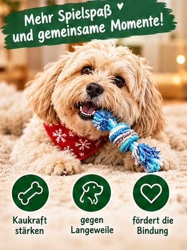 Premium Hunde-Adventskalender