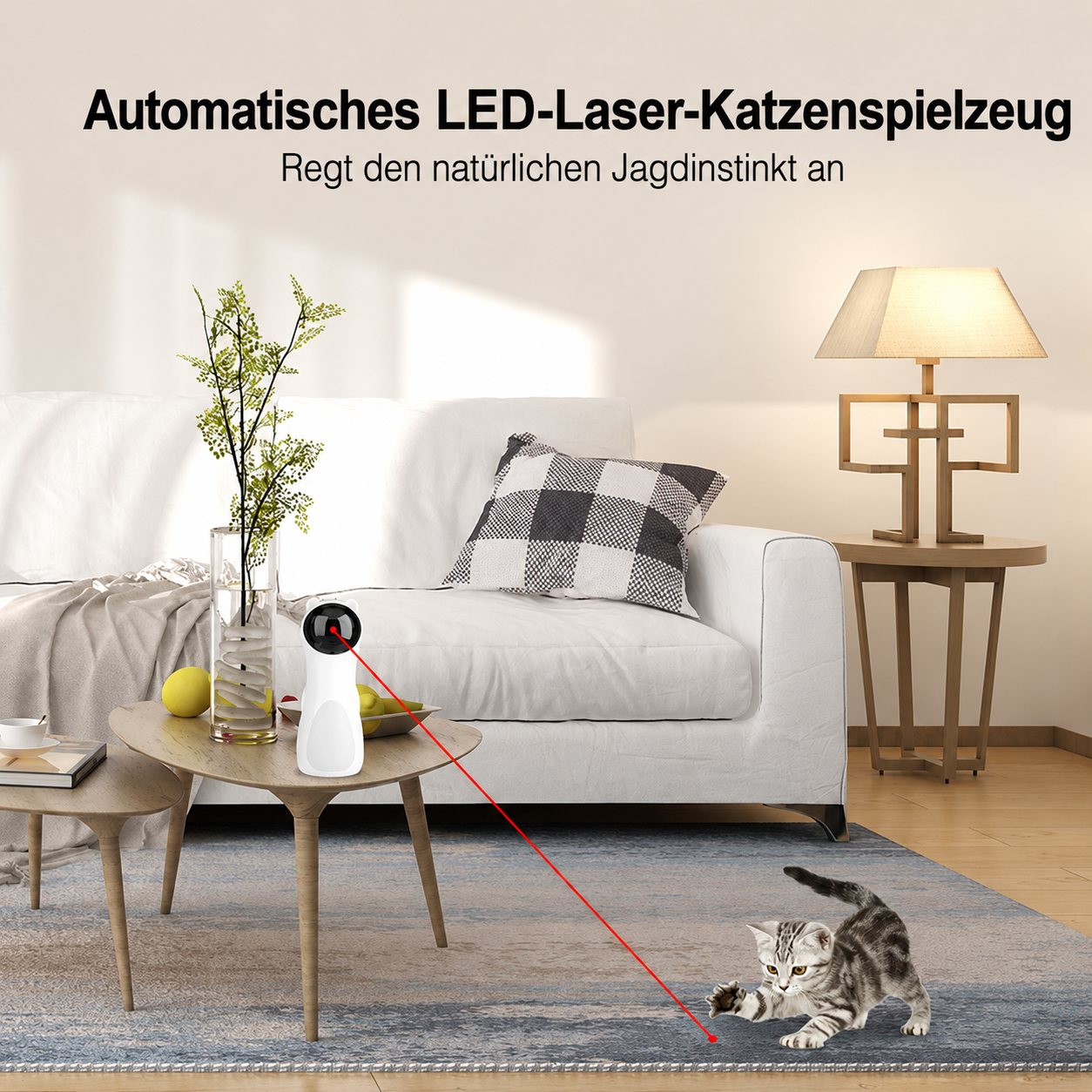 Katzen-Laserspielzeug