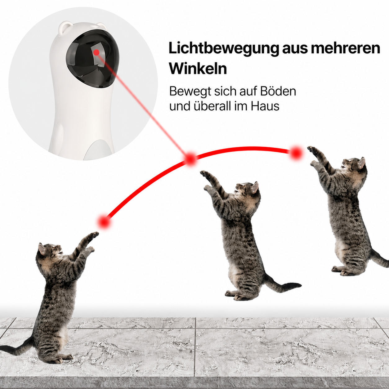 Katzen-Laserspielzeug