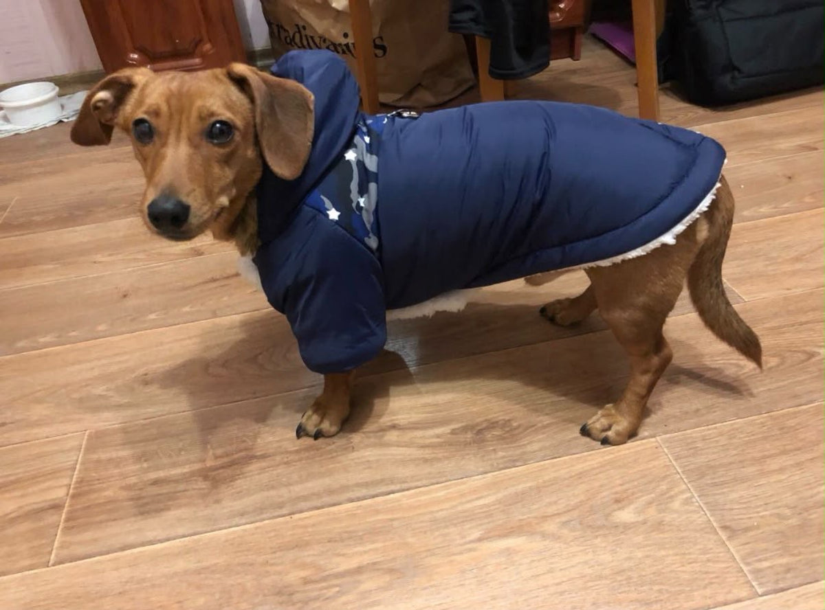 Warme Winterjacke Hunde