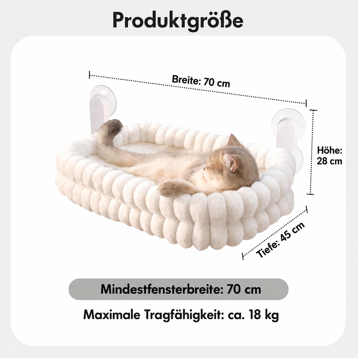 Katzen-Fensterliege