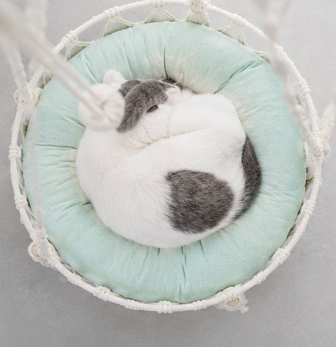 Katzen-Hängematte