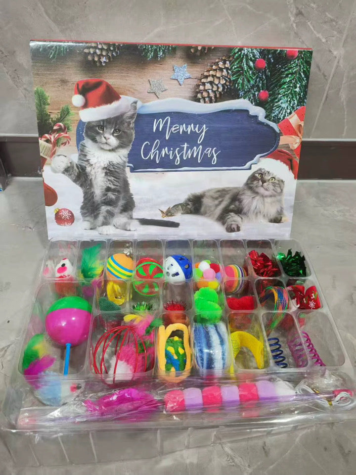 Premium Katzen-Adventskalender