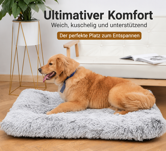 Orthopädisches Komfortschaum Hundebett