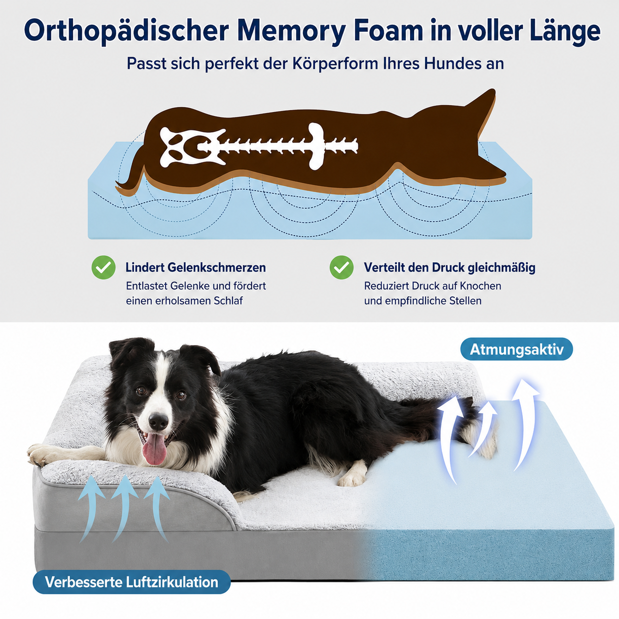Orthopädisches Hundebett